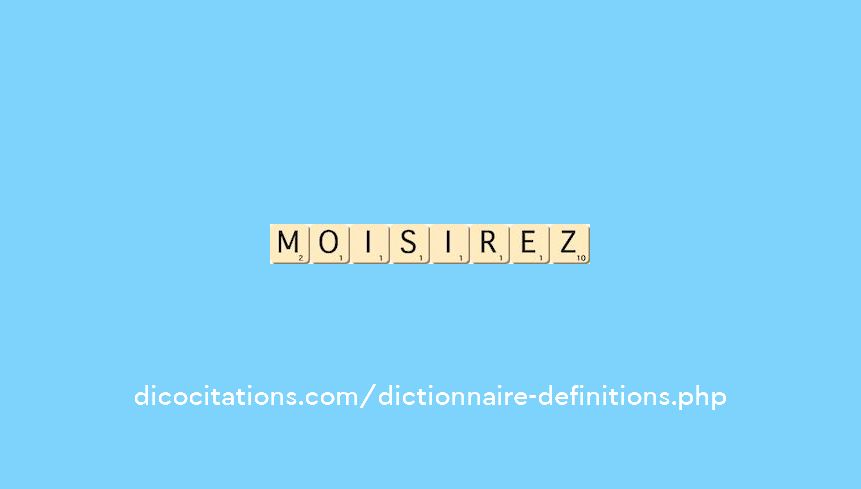 moisirez moisirez