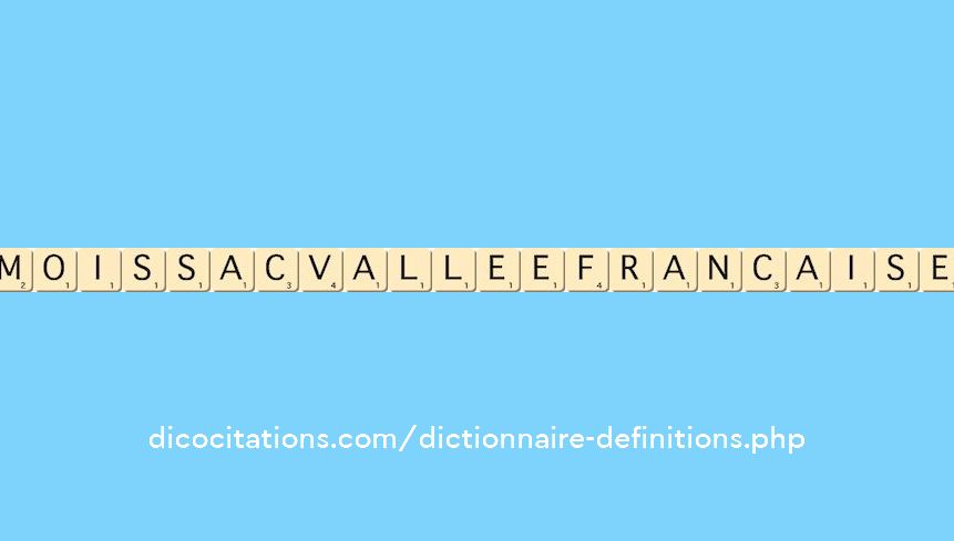 moissac-vallee-francaise
