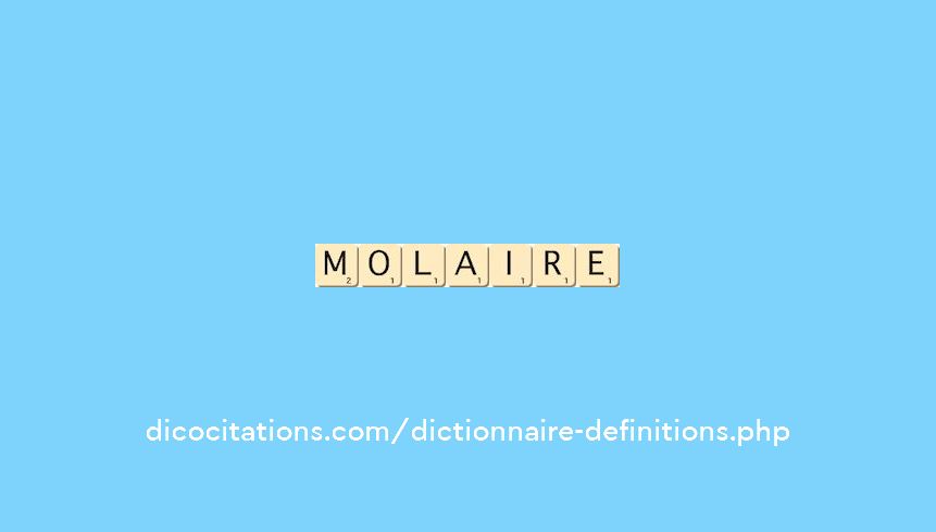 molaire molaire