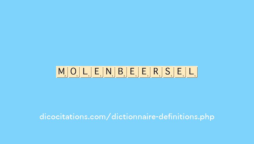 molenbeersel molenbeersel