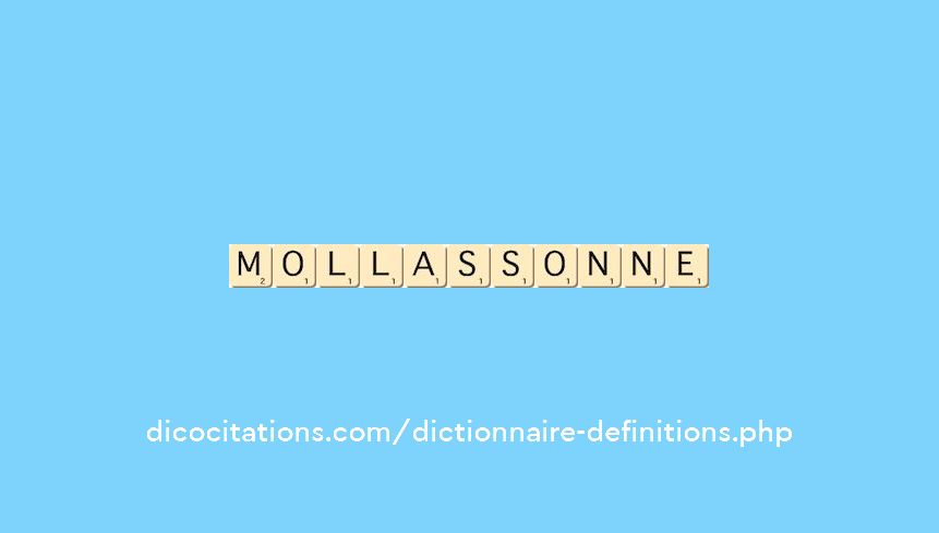 mollassonne mollassonne