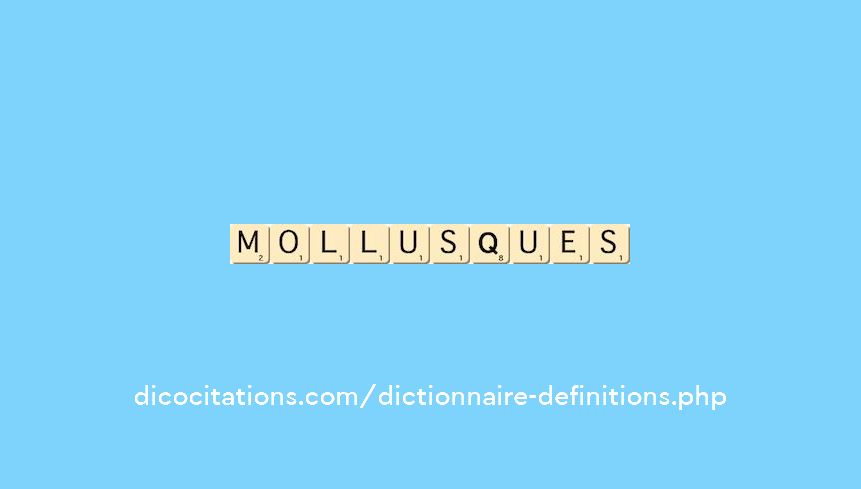 mollusques