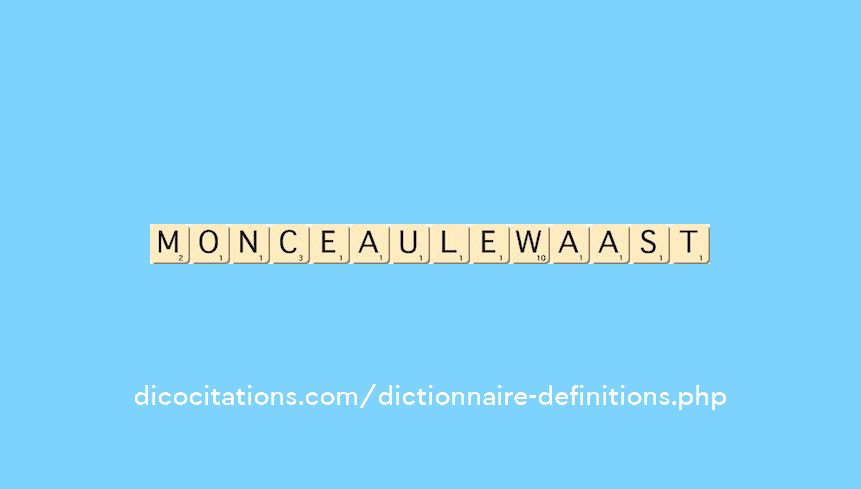 monceau-le-waast