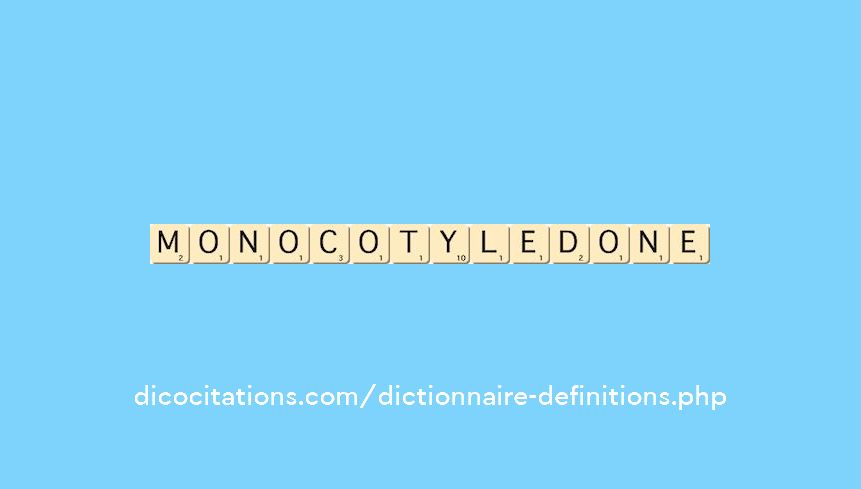 monocotyledone