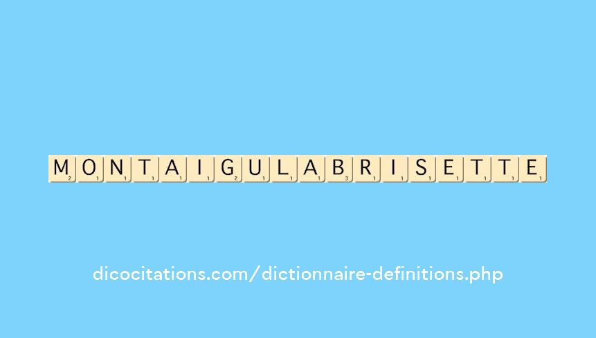 montaigu-la-brisette