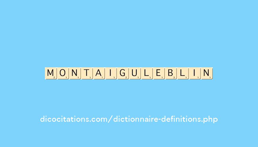 montaigu-le-blin