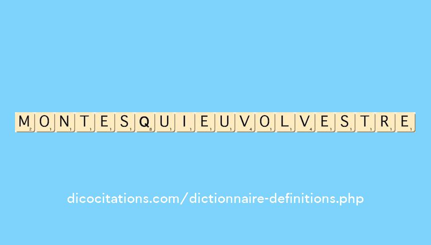 montesquieu-volvestre