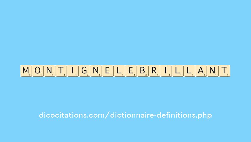 montigne-le-brillant