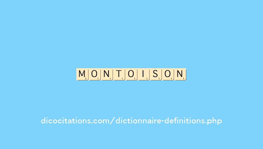 montoison