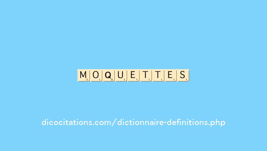 moquettes moquettes