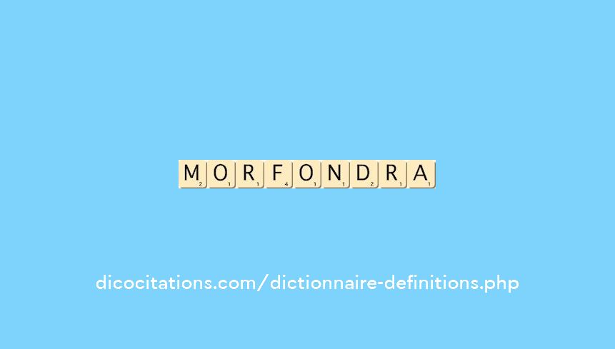 morfondra morfondra