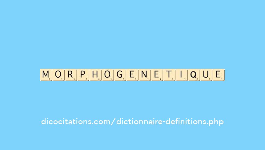 morphogenetique morphogenetique