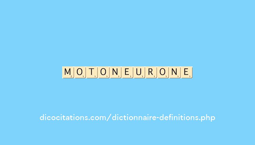 motoneurone motoneurone