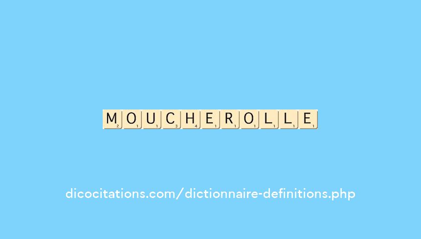 moucherolle