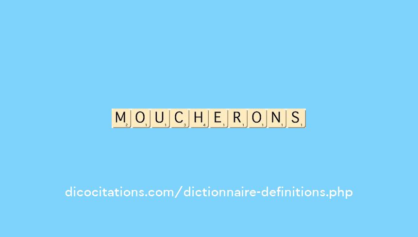 moucherons moucherons