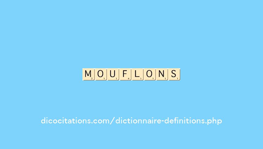 mouflons mouflons