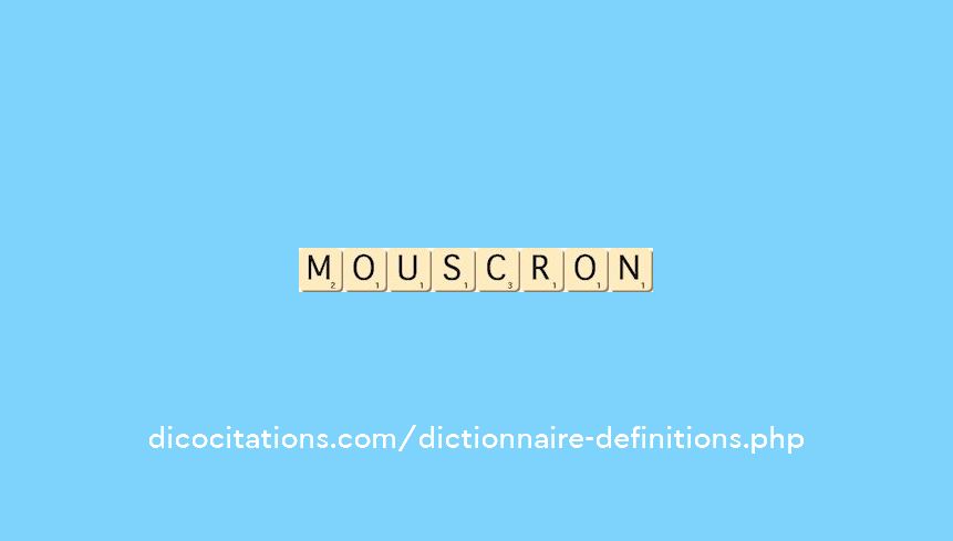 mouscron mouscron