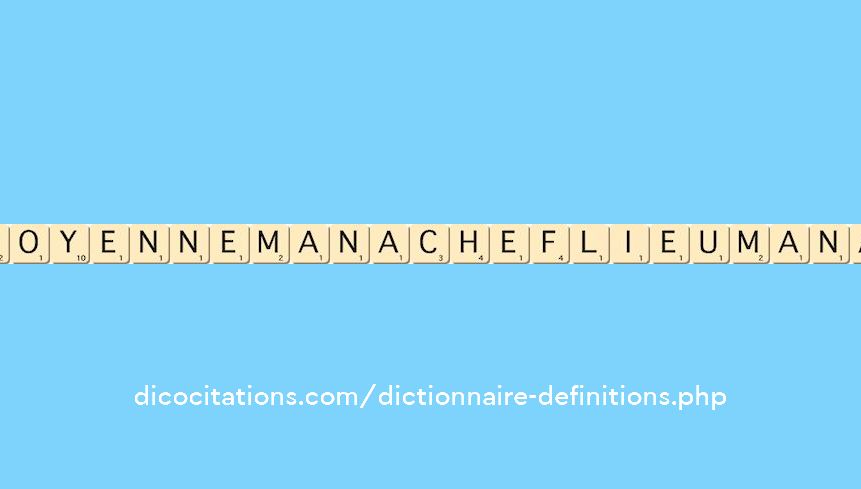 moyenne-mana--chef-lieu-mana-