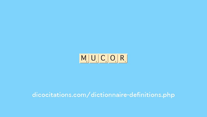 mucor mucor