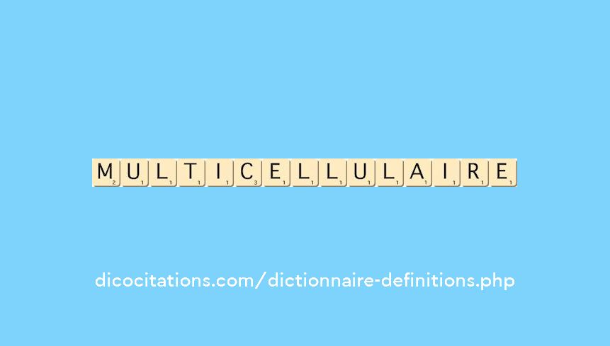 multicellulaire multicellulaire