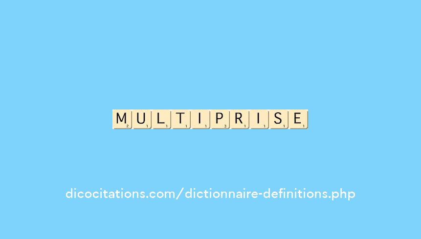 multiprise multiprise