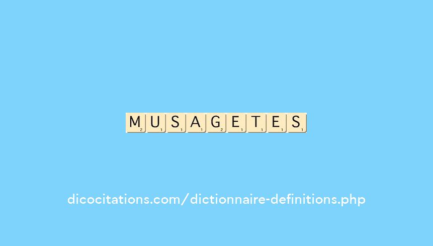 musagetes musagetes