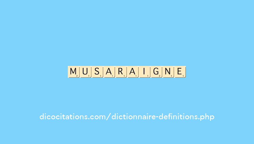 musaraigne musaraigne