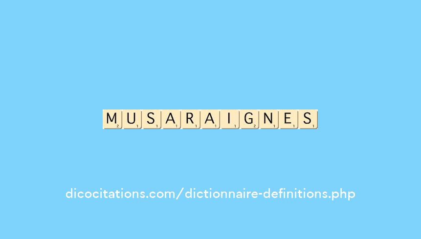 musaraignes