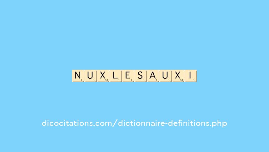 n-ux-les-auxi n-ux-les-auxi
