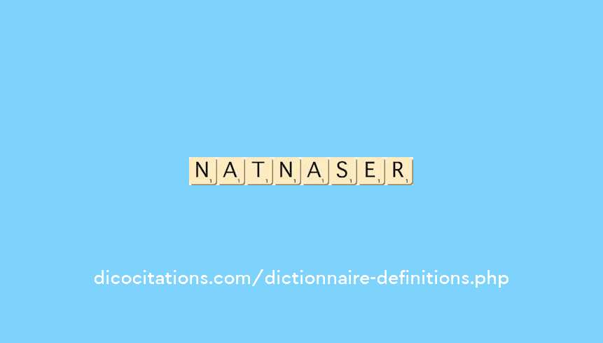 nationaliser
