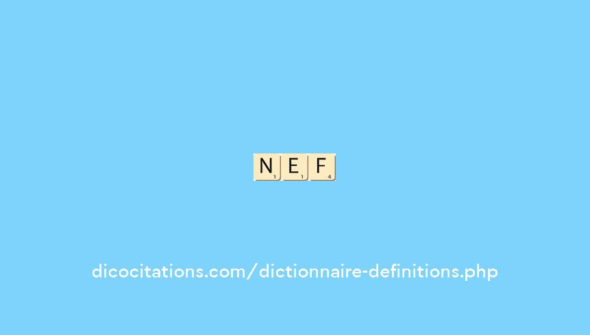 nef nef