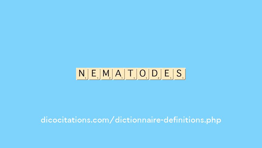 nematodes nematodes