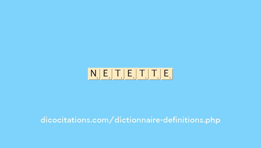 net--ette-