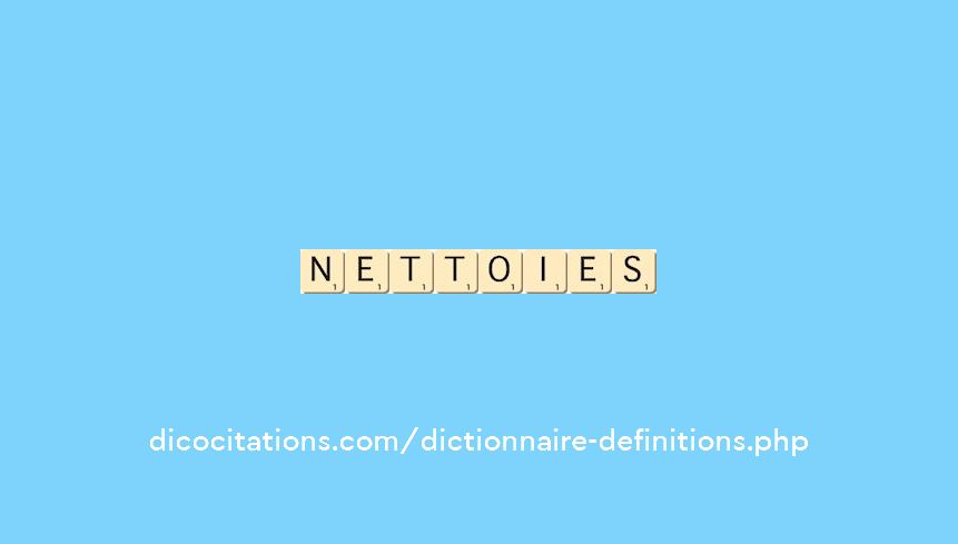 nettoies nettoies