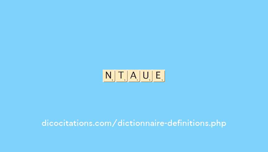 noctambule noctambule