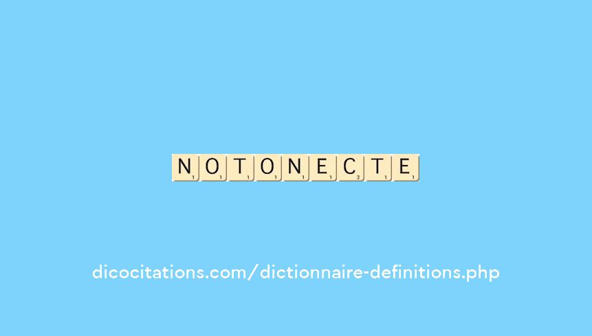 notonecte notonecte