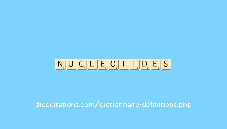 nucleotides nucleotides
