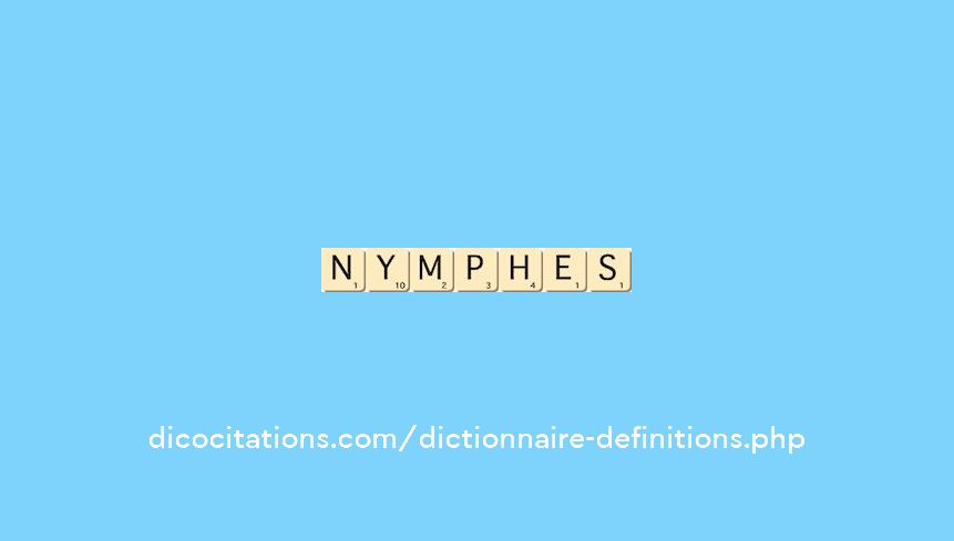 nymphes