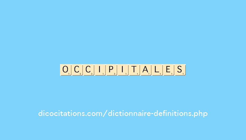 occipitales occipitales