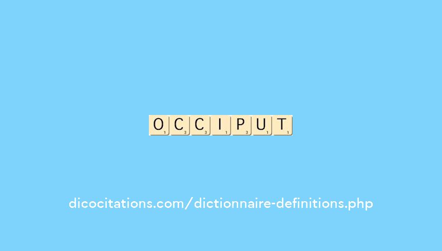 occiput
