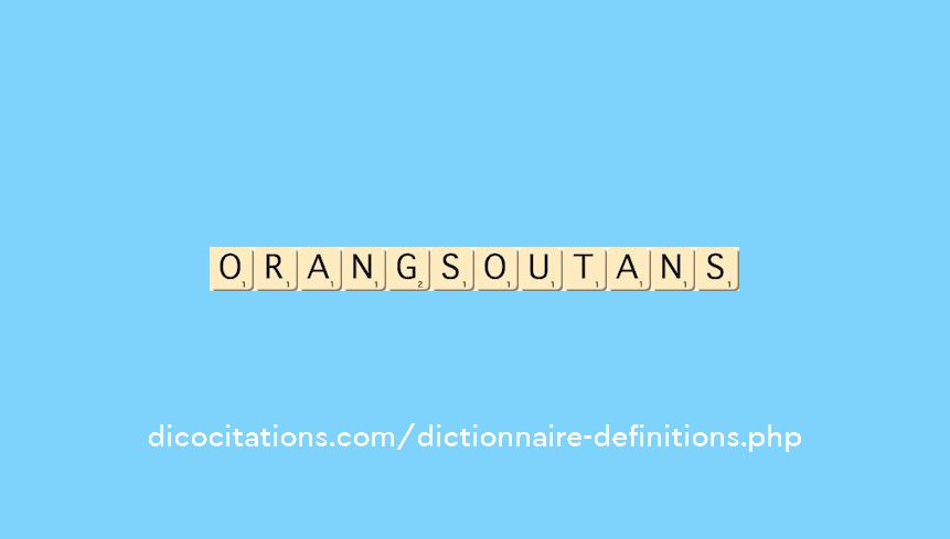 orangs-outans orangs-outans
