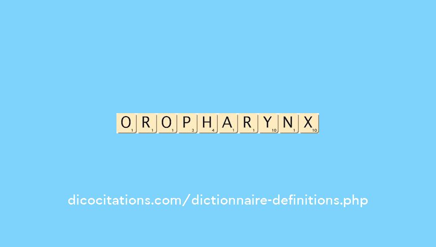 oropharynx oropharynx