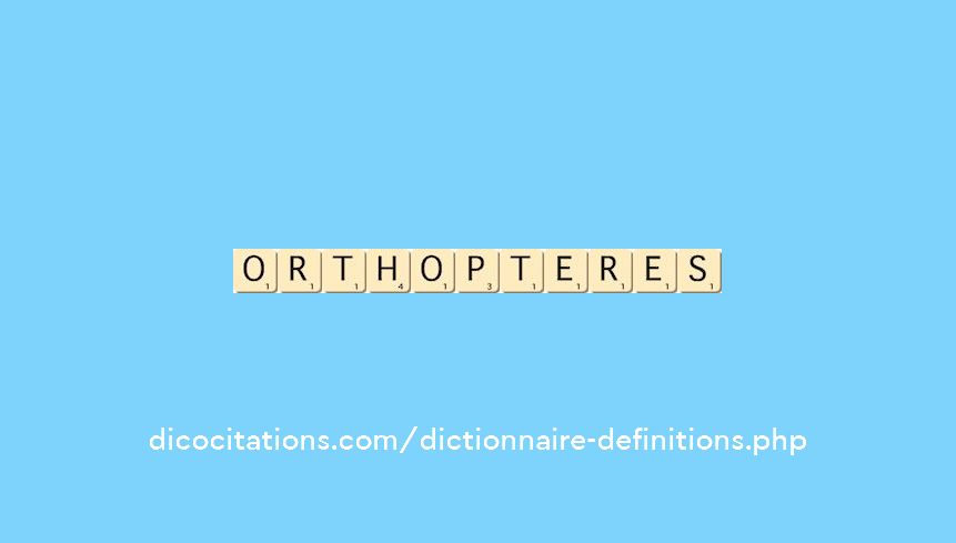 orthopteres orthopteres
