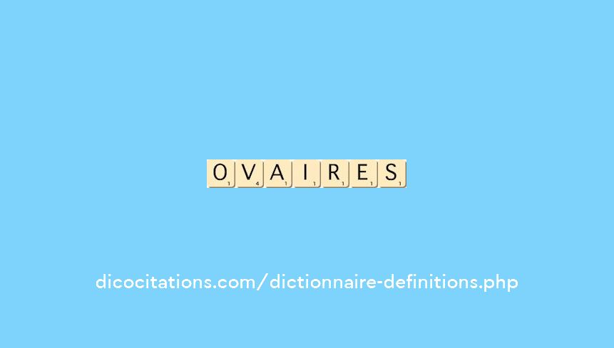 ovaires ovaires