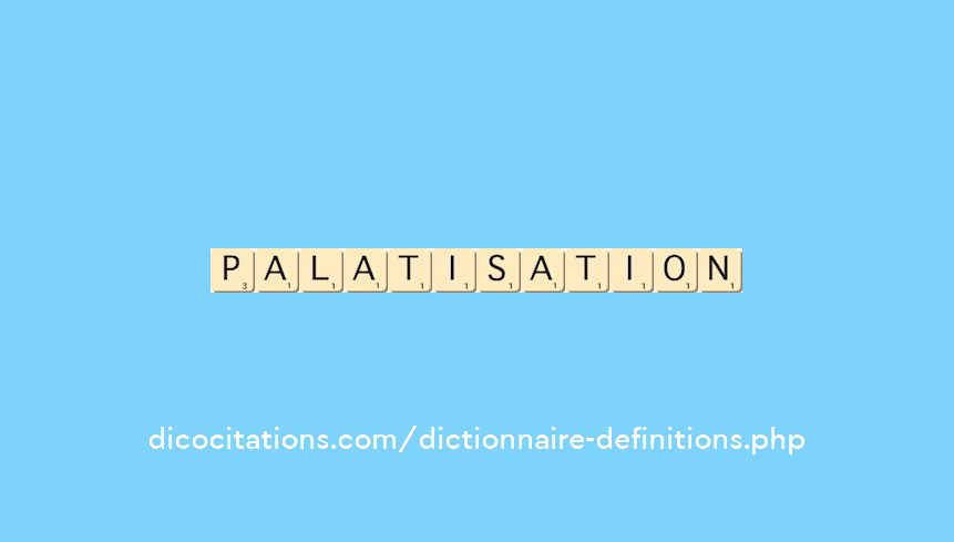 palatisation palatisation