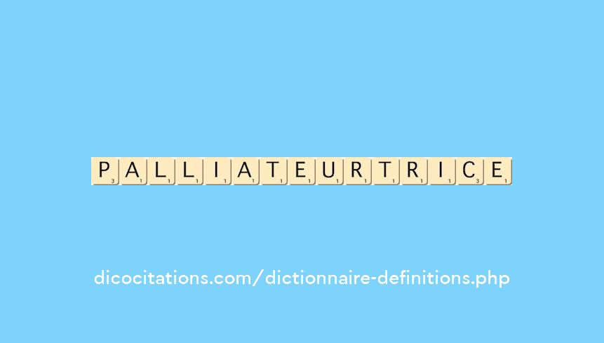 palliateur--trice
