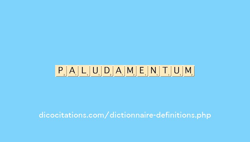 paludamentum paludamentum