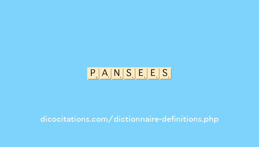 pansees pansees