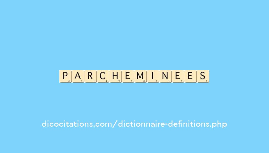 parcheminees