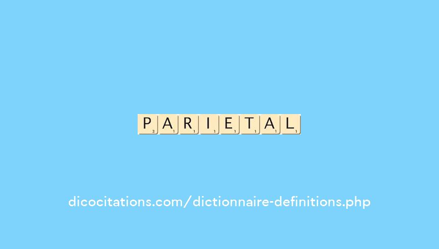 parietal parietal